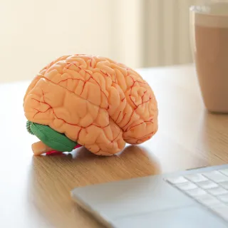 Sesión individual de psicología del deporte